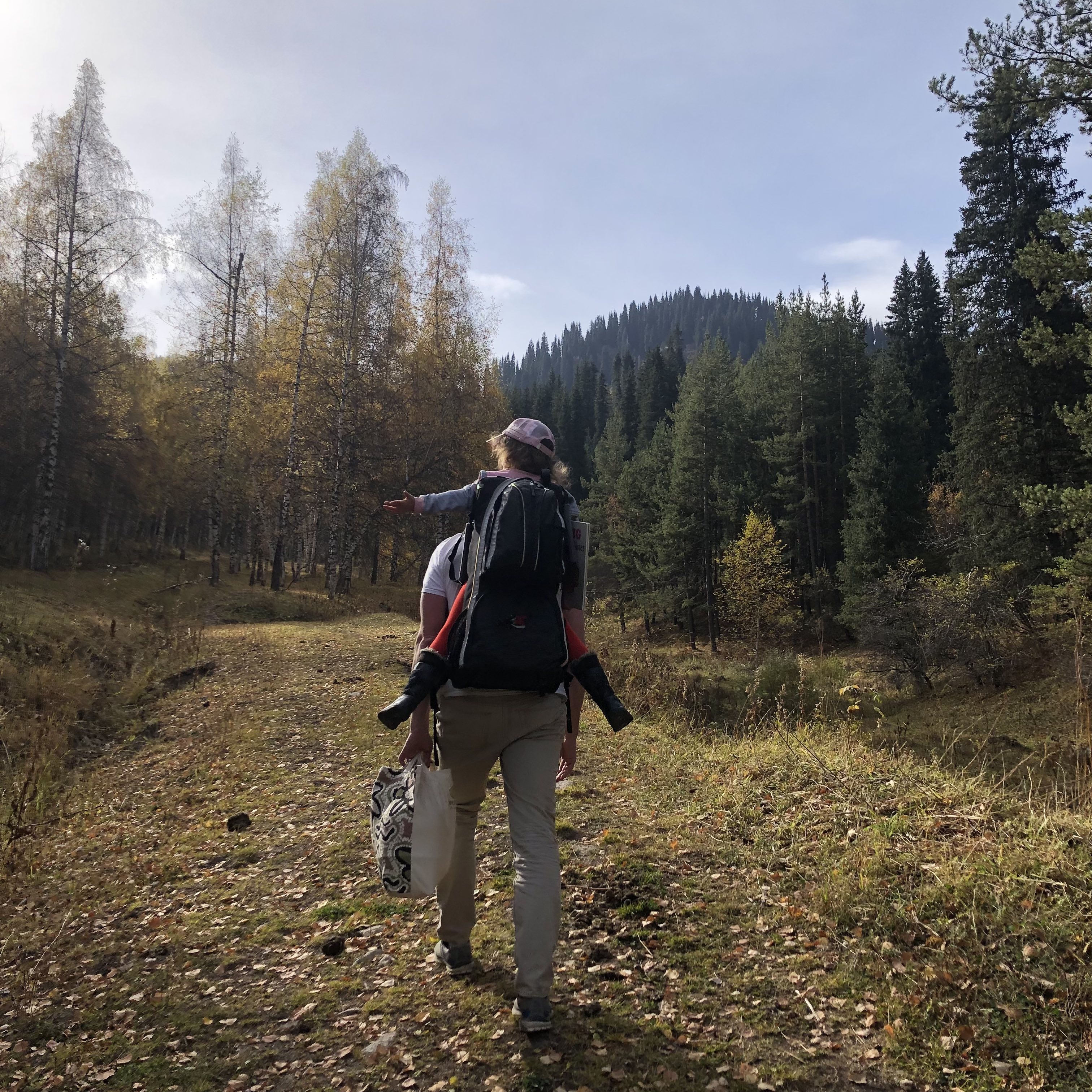 A man carries a child in a hiking backpack along a forest trail