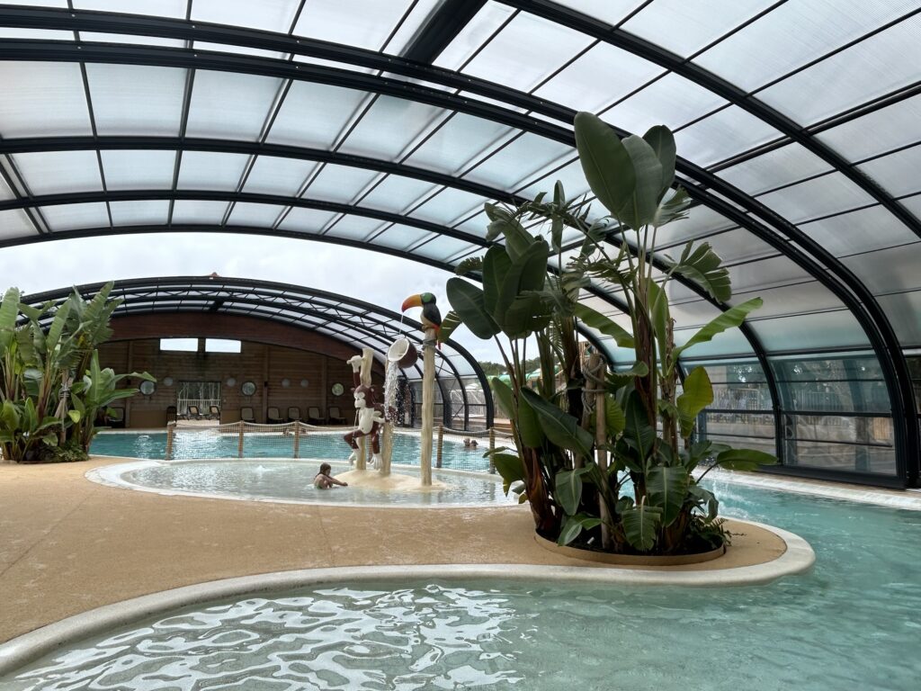 A photo of an indoor pool with a small jungle garden at the waters edge