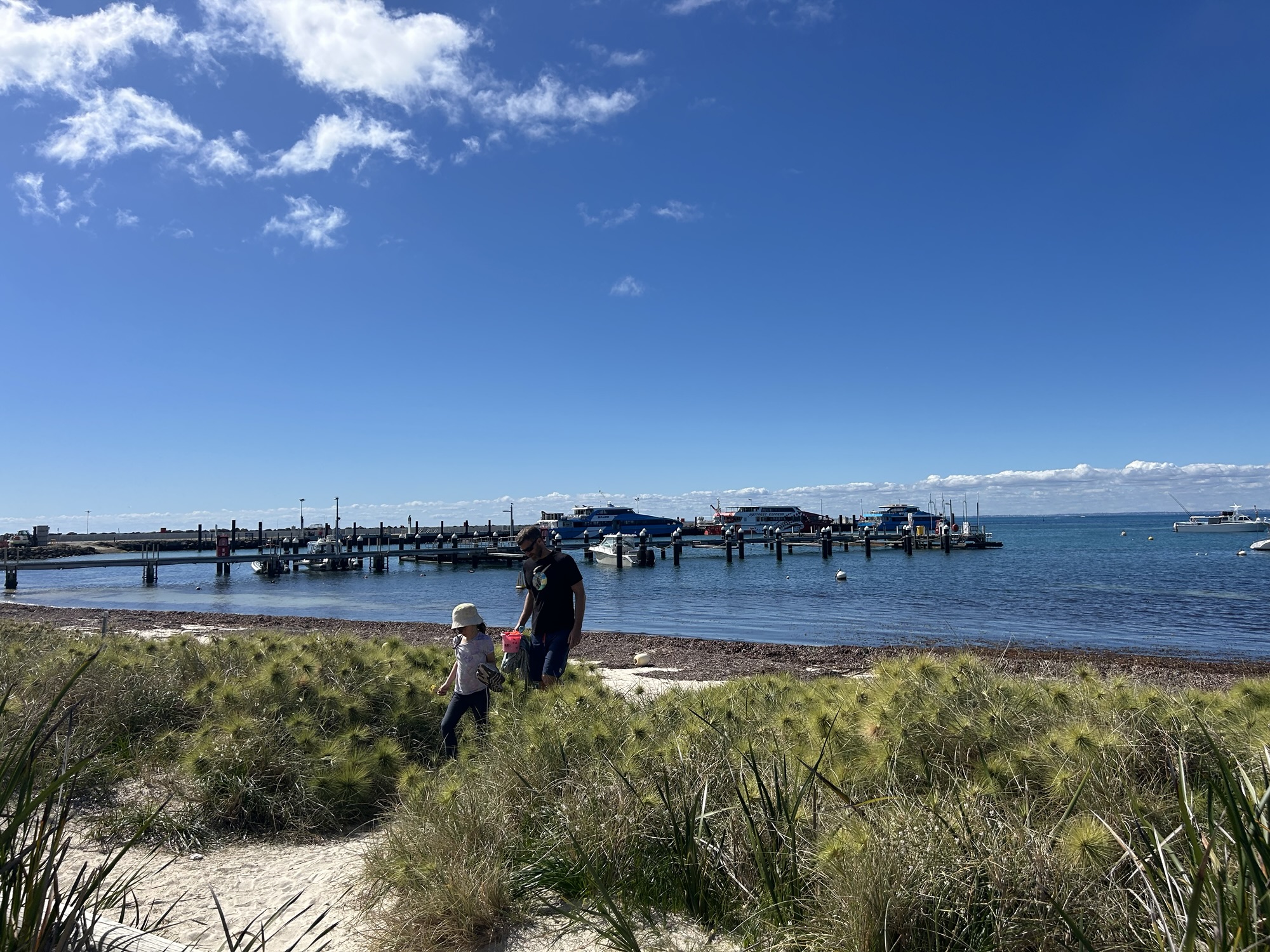 A photo of a girl and a man walking through the dunes with the sea behind and a jetty with ferries in the background